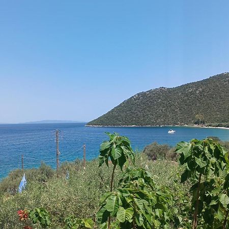 Studios Zaritsi Tyros Exterior photo